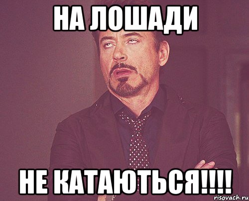 На лошади Не катаються!!!!, Мем твое выражение лица