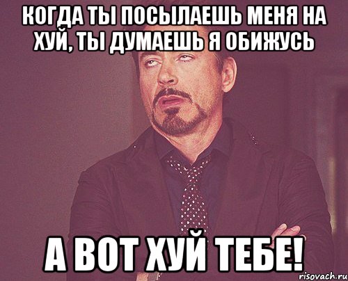 Когда ты посылаешь меня на хуй, ты думаешь я обижусь А ВОТ ХУЙ ТЕБЕ!, Мем твое выражение лица