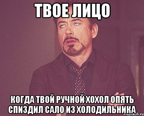 твое лицо когда твой ручной хохол опять спиздил сало из холодильника, Мем твое выражение лица