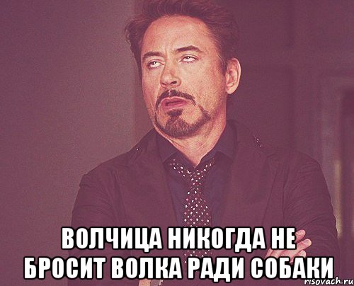  волчица никогда не бросит волка ради собаки, Мем твое выражение лица