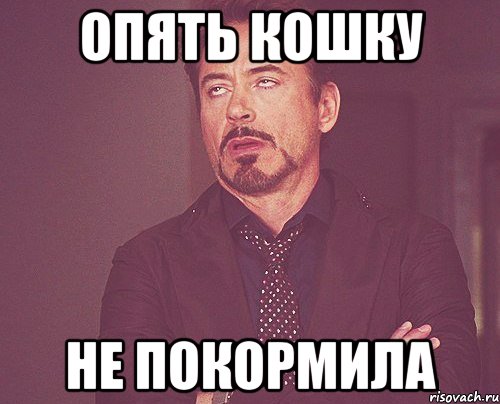 опять кошку не покормила, Мем твое выражение лица