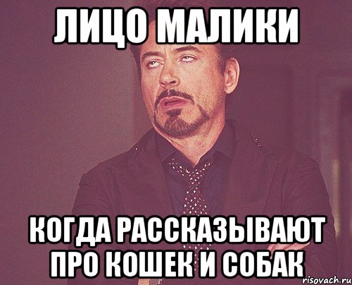 лицо Малики когда рассказывают про кошек и собак, Мем твое выражение лица