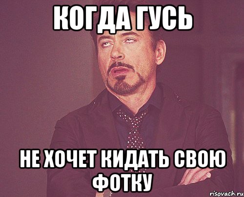 когда гусь не xочет кидать свою фотку, Мем твое выражение лица