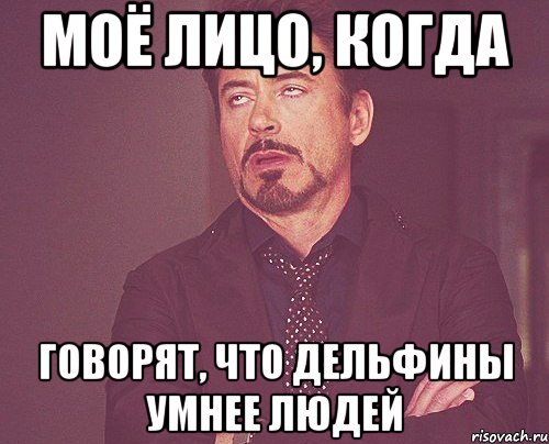 МОЁ ЛИЦО, КОГДА ГОВОРЯТ, ЧТО ДЕЛЬФИНЫ УМНЕЕ ЛЮДЕЙ, Мем твое выражение лица