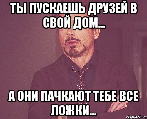 Ты пускаешь друзей в свой дом... А они пачкают тебе все ложки..., Мем твое выражение лица