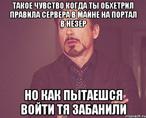 такое чувство когда ты обхетрил правила сервера в майне на портал в незер но как пытаешся войти тя забанили, Мем твое выражение лица