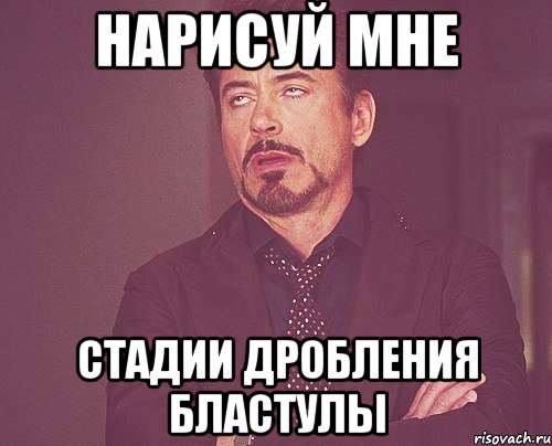 нарисуй мне стадии дробления бластулы, Мем твое выражение лица