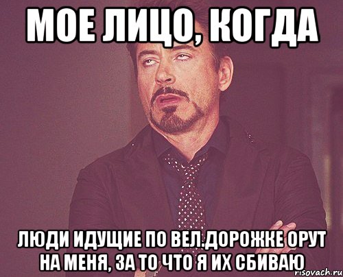 Мое лицо, когда Люди идущие по вел.дорожке орут на меня, за то что я их сбиваю, Мем твое выражение лица