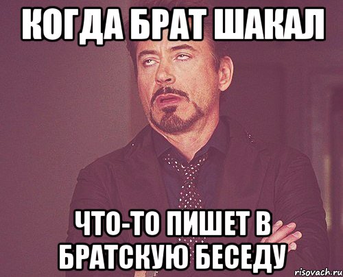 Когда брат шакал Что-то пишет в братскую беседу, Мем твое выражение лица