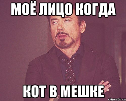 моё лицо когда кот в мешке, Мем твое выражение лица