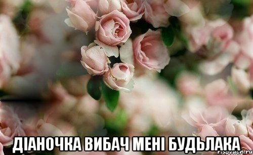  Діаночка вибач мені будьлака