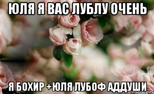 юля я вас лублу очень я бохир +юля лубоф аддуши