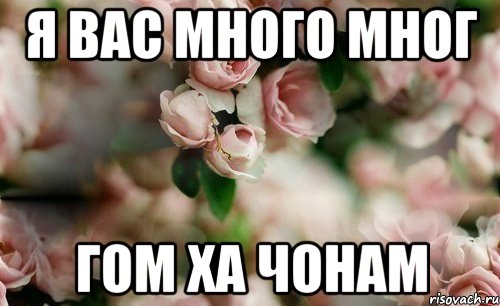 я вас много мног гом ха чонам