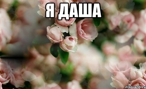 я даша 