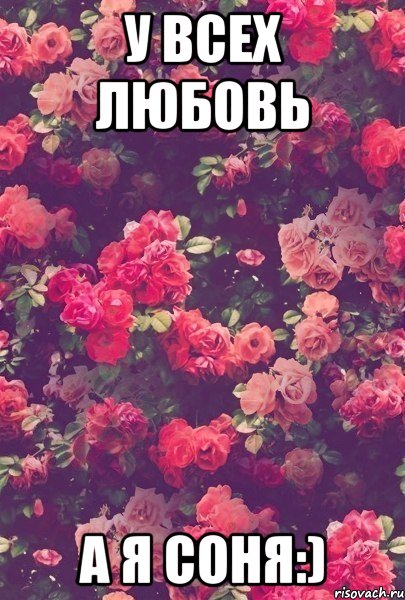 У ВСЕХ ЛЮБОВЬ А Я СОНЯ:)
