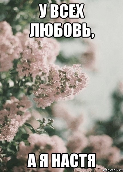 У всех любовь, а я Настя