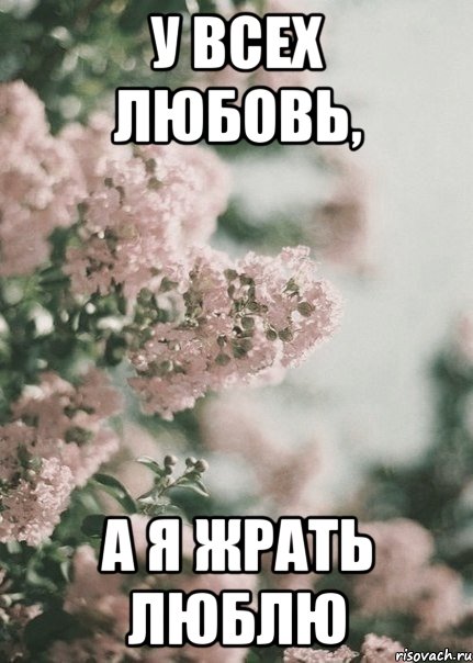 У всех любовь, а я жрать люблю, Мем У всех любовь а я Юля
