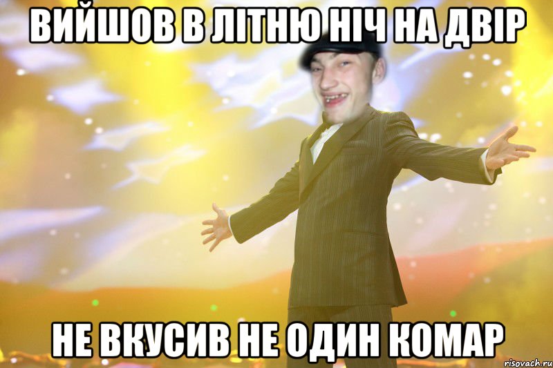 Вийшов в літню ніч на двір не вкусив не один комар
