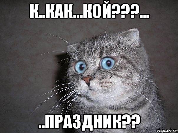 К..КАК...КОЙ???... ..ПРАЗДНИК??, Мем  удивлённый кот