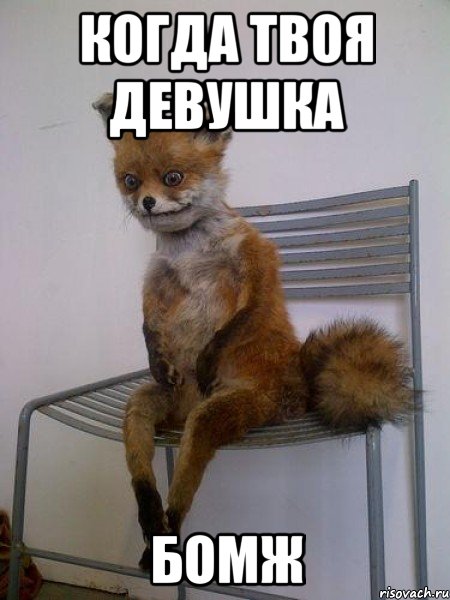 когда твоя девушка бомж, Мем Упоротая лиса