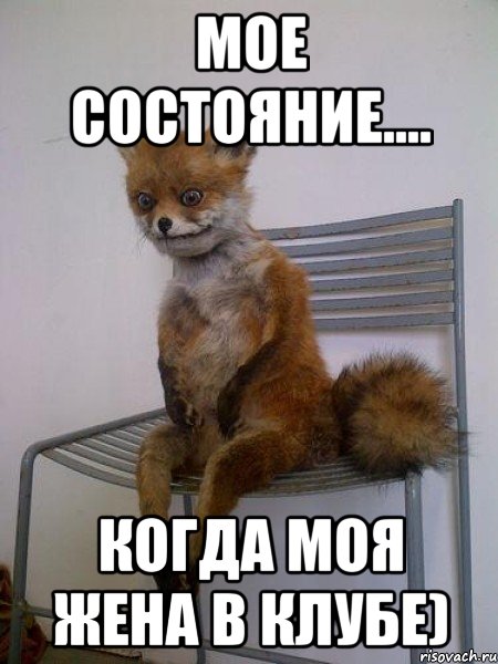 Мое состояние.... Когда моя жена в клубе), Мем Упоротая лиса