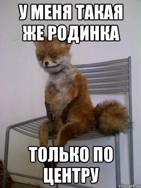 у меня такая же родинка только по центру, Мем Упоротая лиса