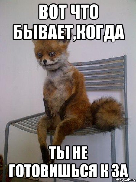 Вот что бывает,когда ты не готовишься к ЗА, Мем Упоротая лиса