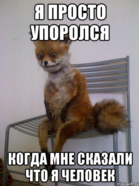 я просто упоролся когда мне сказали что я человек, Мем Упоротая лиса