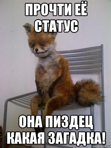 ПРОЧТИ ЕЁ СТАТУС ОНА ПИЗДЕЦ КАКАЯ ЗАГАДКА!, Мем Упоротая лиса
