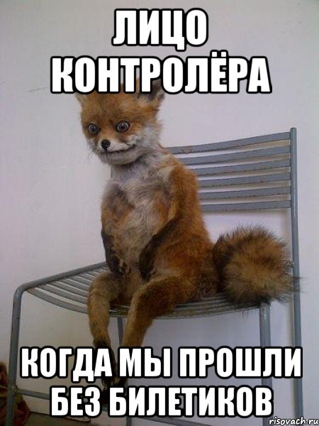 Лицо контролёра Когда мы прошли без билетиков, Мем Упоротая лиса