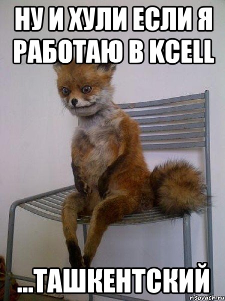 Ну и хули если я работаю в Kcell ...Ташкентский, Мем Упоротая лиса