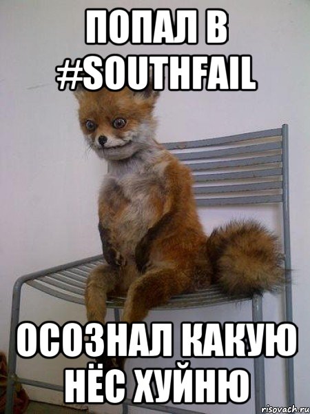 попал в #SouthFail осознал какую нёс хуйню, Мем Упоротая лиса