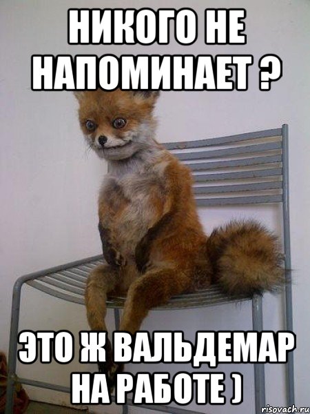 никого не напоминает ? Это ж Вальдемар на Работе ), Мем Упоротая лиса