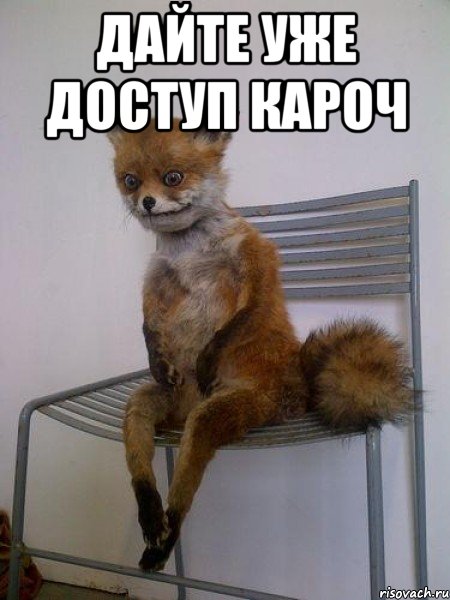 дайте уже доступ кароч , Мем Упоротая лиса