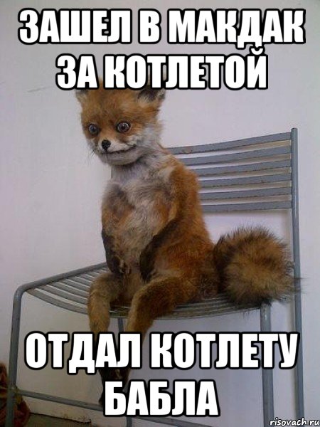 ЗАШЕЛ В МАКДАК ЗА КОТЛЕТОЙ ОТДАЛ КОТЛЕТУ БАБЛА, Мем Упоротая лиса