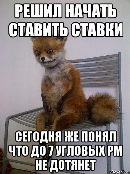 Решил начать ставить ставки Сегодня же понял что до 7 угловых РМ не дотянет, Мем Упоротая лиса