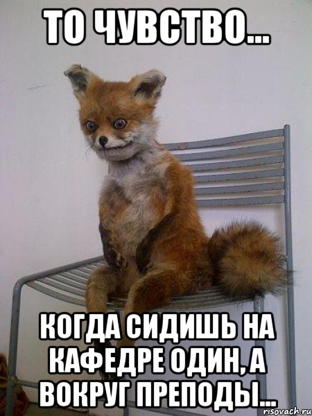 То чувство... Когда сидишь на кафедре один, а вокруг преподы..., Мем Упоротая лиса