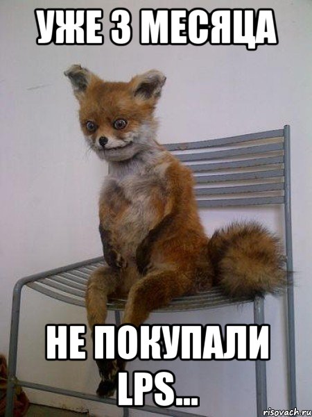 Уже 3 месяца Не покупали LPS..., Мем Упоротая лиса