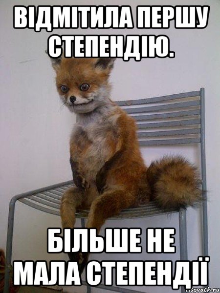 відмітила першу степендію. більше не мала степендії, Мем Упоротая лиса