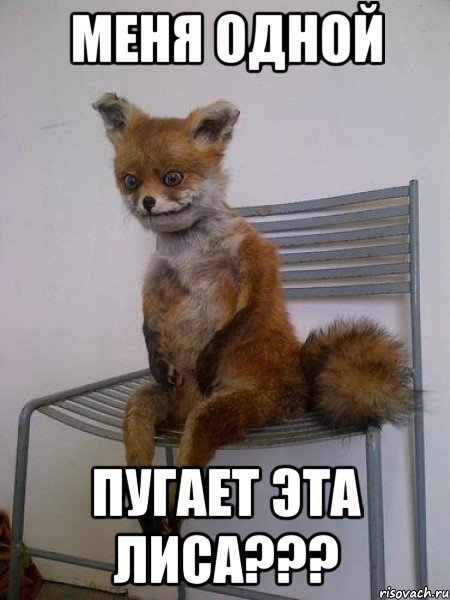 Меня одной Пугает эта лиса???, Мем Упоротая лиса