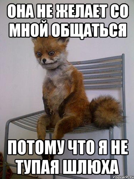 Она не желает со мной общаться Потому что я не тупая шлюха, Мем Упоротая лиса