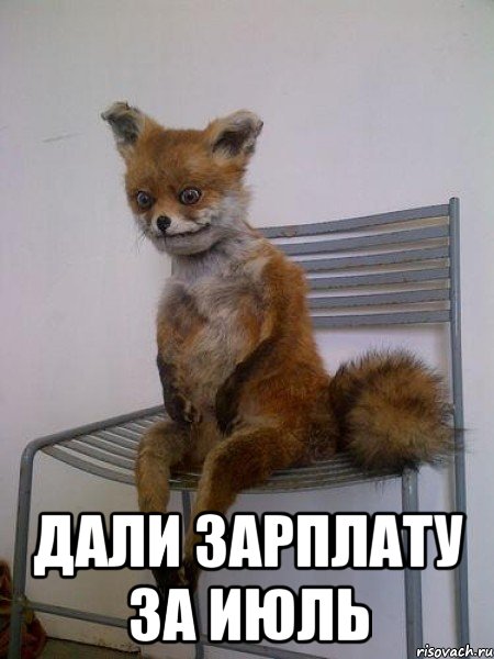  Дали зарплату за июль, Мем Упоротая лиса