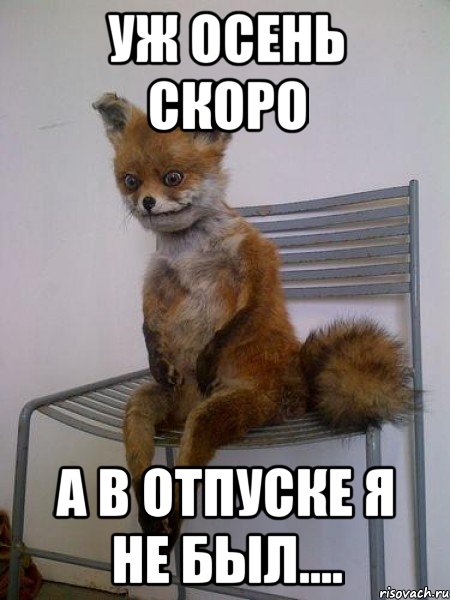УЖ ОСЕНЬ СКОРО А В ОТПУСКЕ Я НЕ БЫЛ...., Мем Упоротая лиса