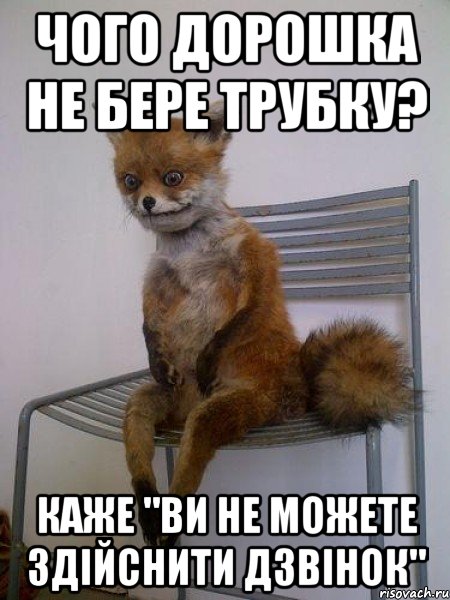 чого дорошка не бере трубку? каже "ви не можете здійснити дзвінок", Мем Упоротая лиса