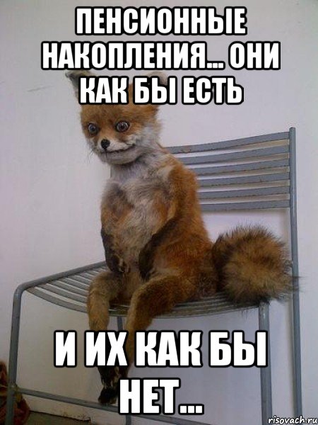 пенсионные накопления... они как бы есть и их как бы нет..., Мем Упоротая лиса