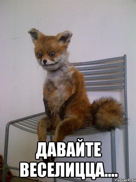  давайте веселиЦЦа...., Мем Упоротая лиса