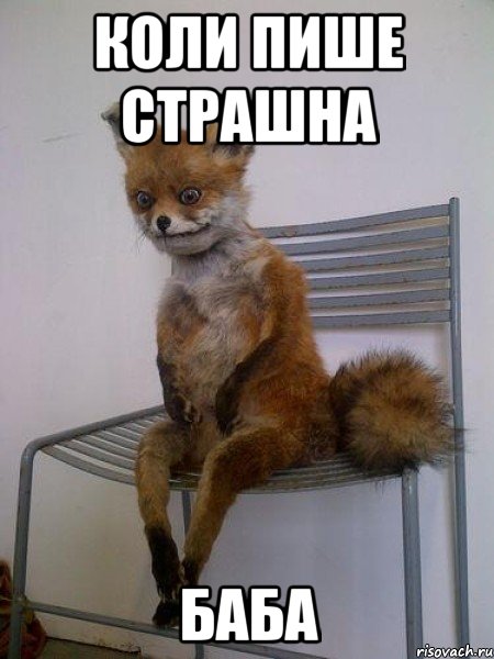 коли пише страшна БАБА, Мем Упоротая лиса