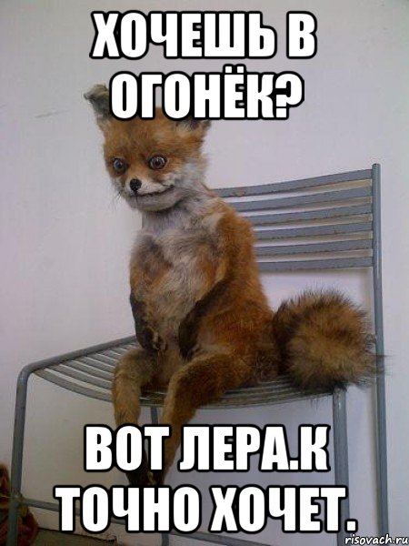 Хочешь в огонёк? Вот Лера.К точно хочет., Мем Упоротая лиса