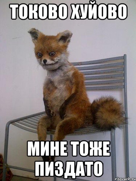 токово хуйово мине тоже пиздато, Мем Упоротая лиса