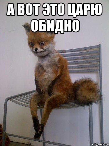 А вот это царю обидно , Мем Упоротая лиса